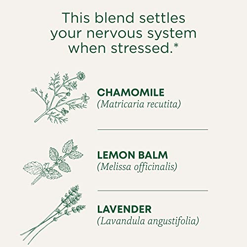 Test-Tea Beutel